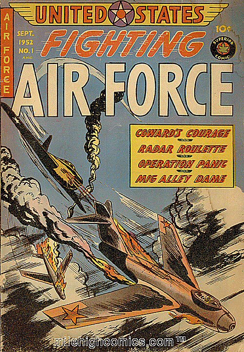 Book Cover For U.S. Fighting Air Force 1