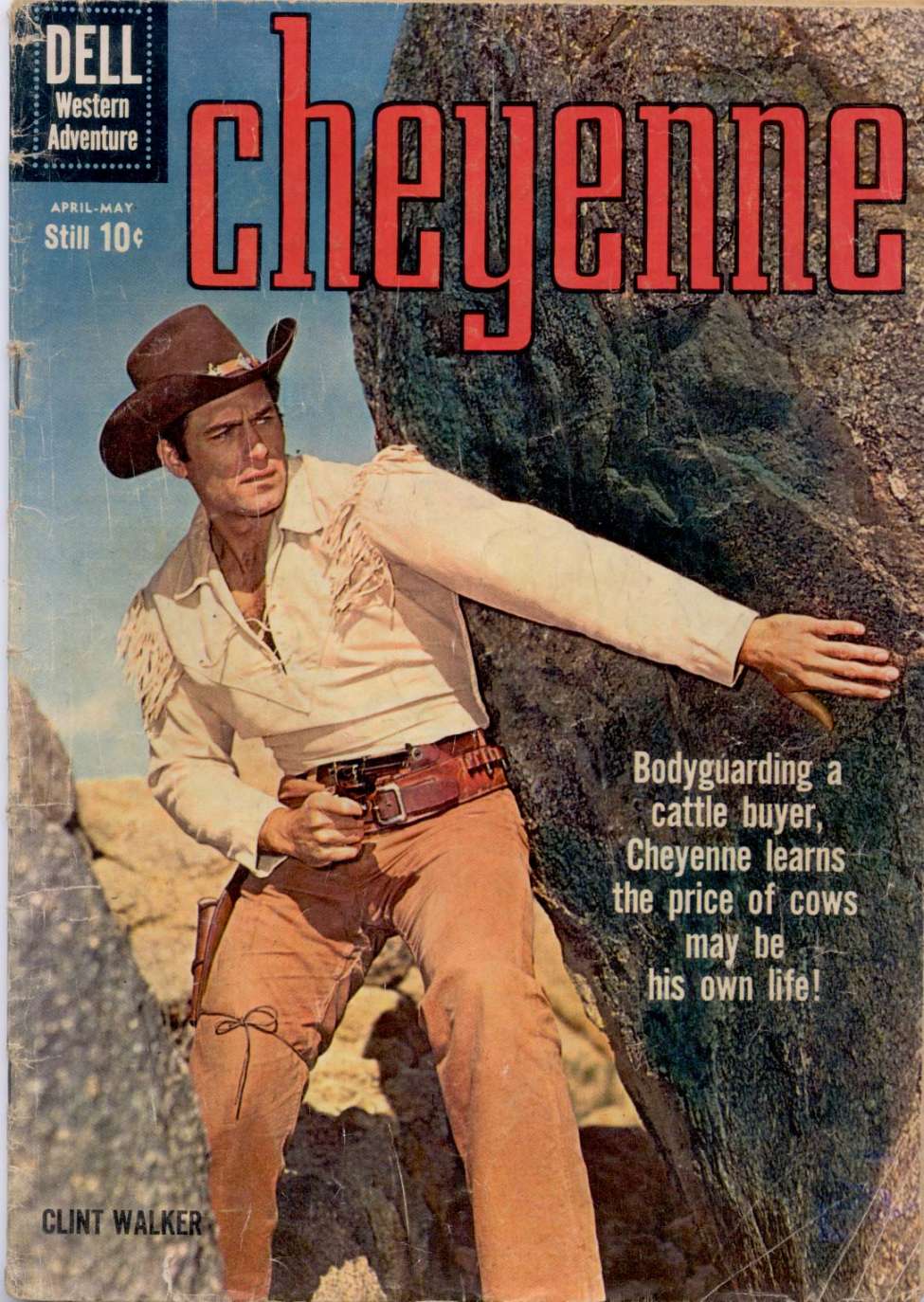 Book Cover For Cheyenne 15