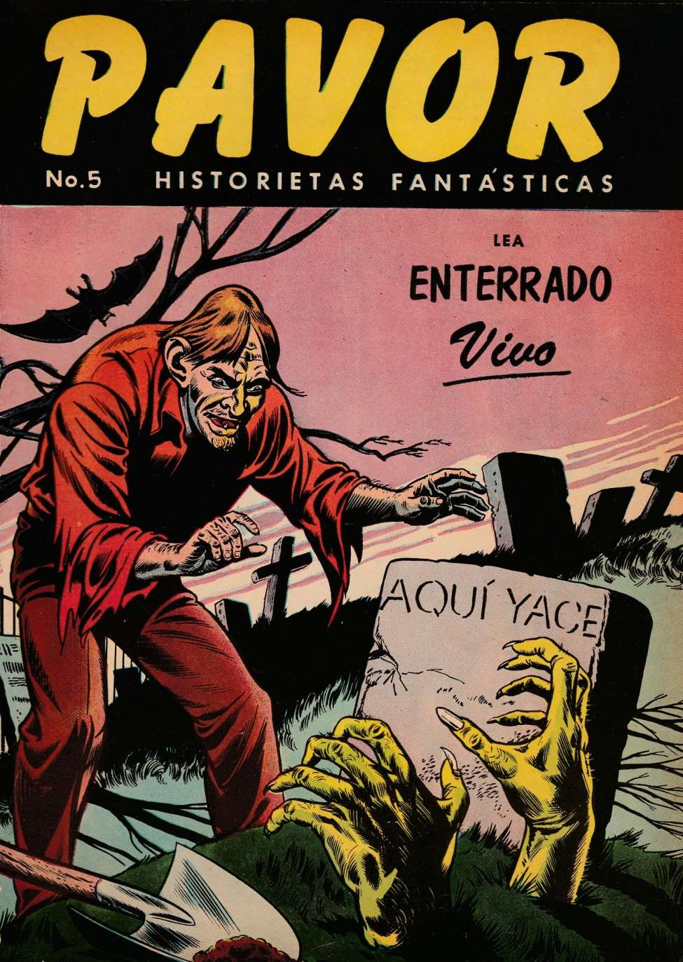 Book Cover For Pavor 5