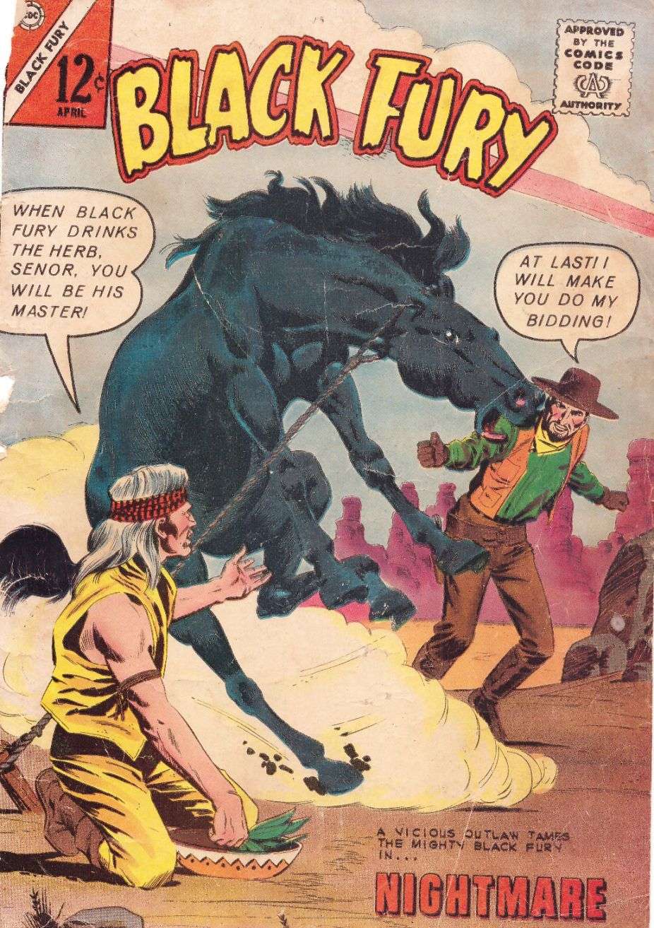 Comic Book Cover For Black Fury 41