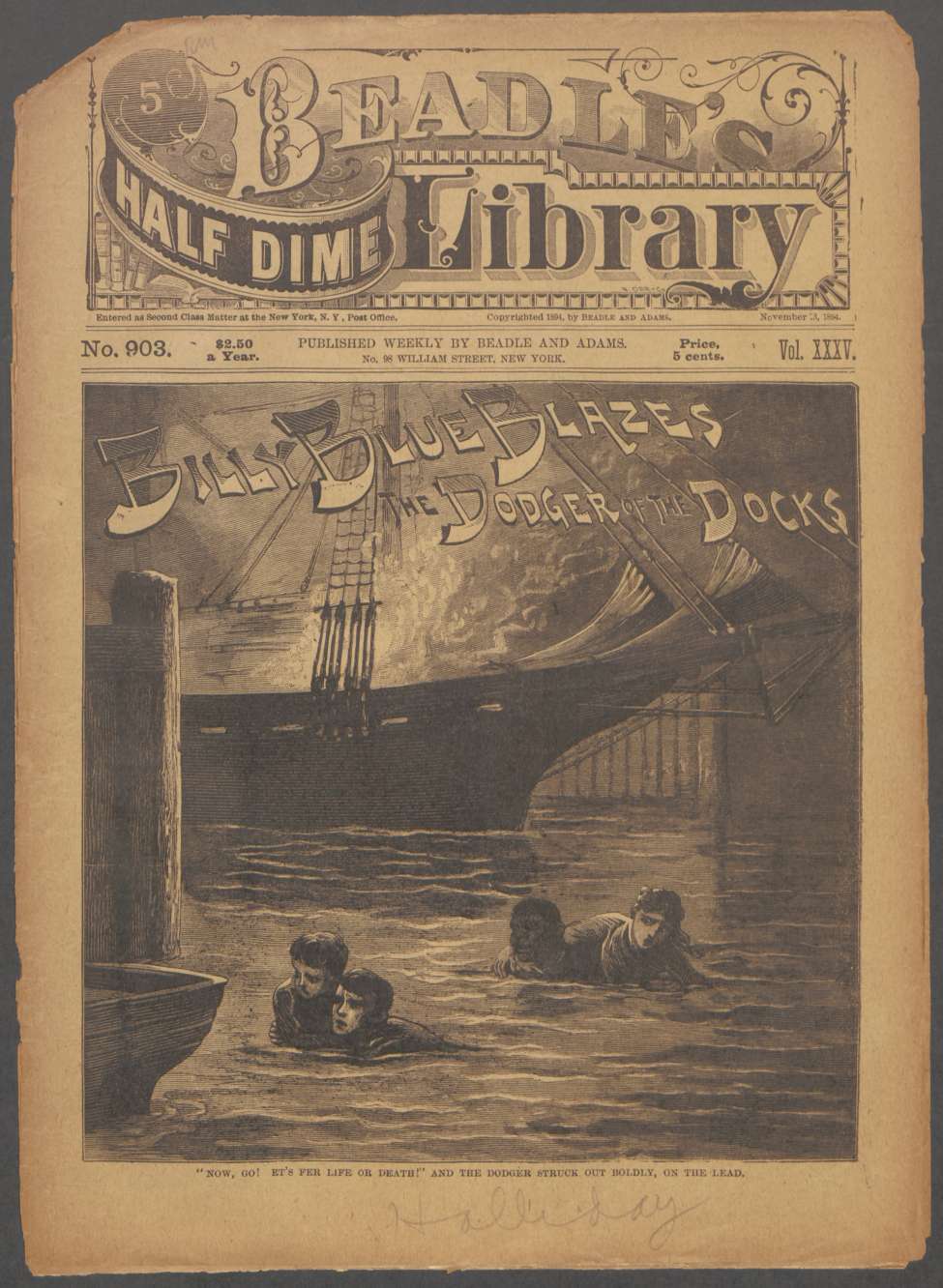 Book Cover For Beadle's Half Dime Library 903 - Billy Blue Blazes, the Dodger of fhe Docks.
