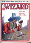 Cover For The Wizard 661