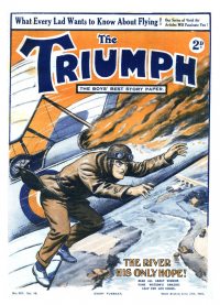 Large Thumbnail For The Triumph 347