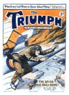 Cover For The Triumph 347