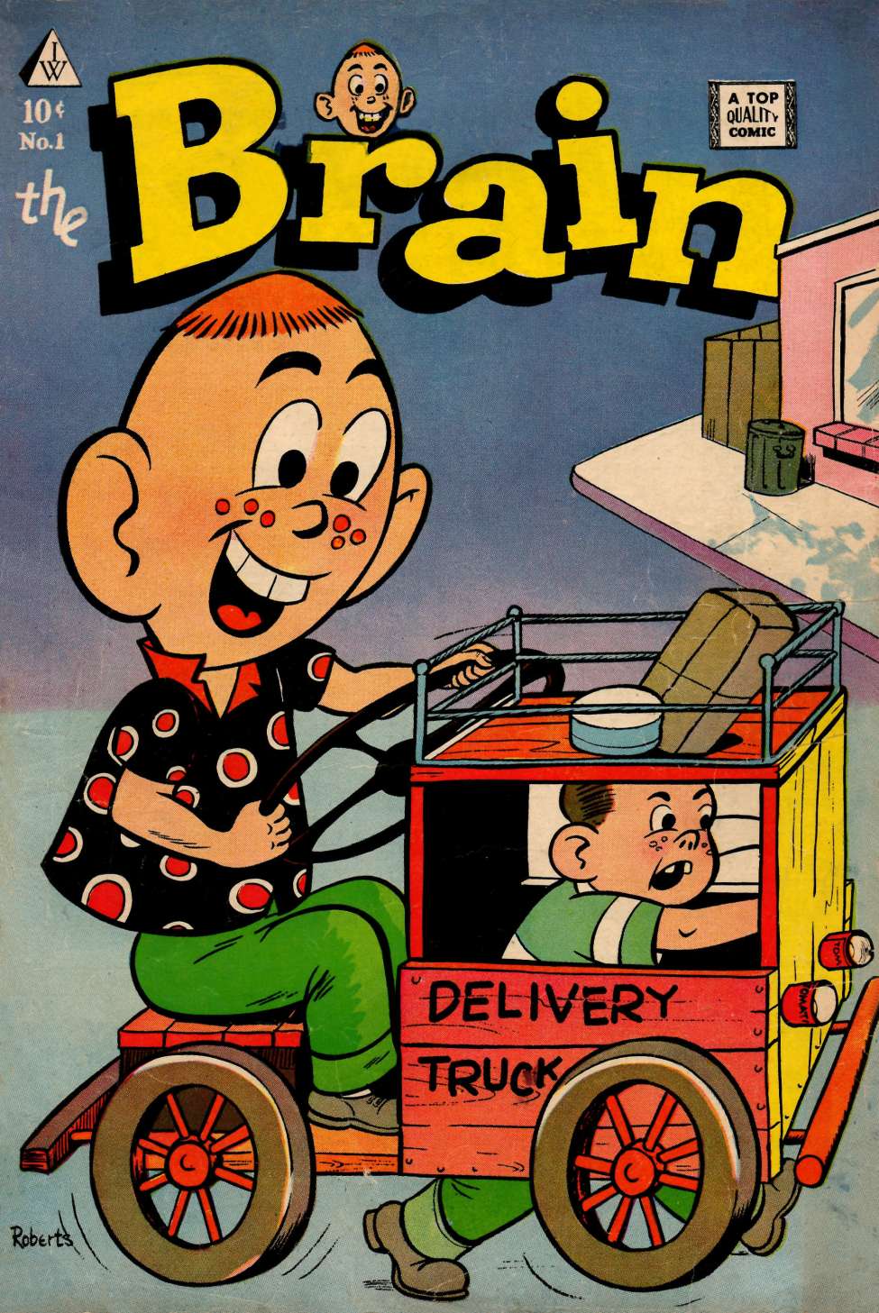 Book Cover For The Brain 1