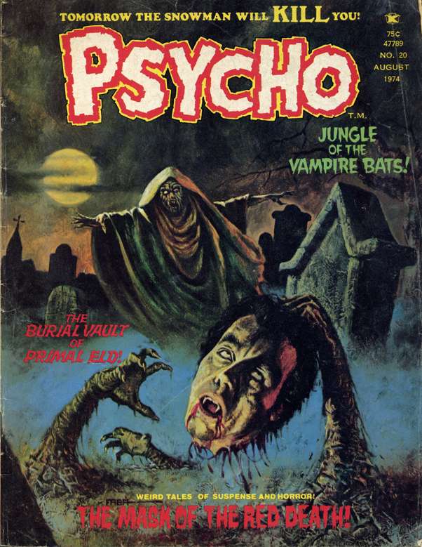 Book Cover For Psycho 20