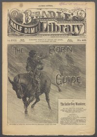 Large Thumbnail For Beadle's Half Dime Library 462 - The Born Guide