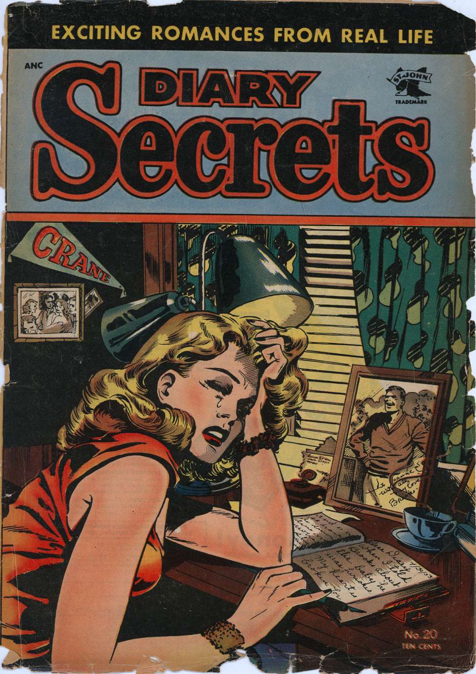 Book Cover For Diary Secrets 20