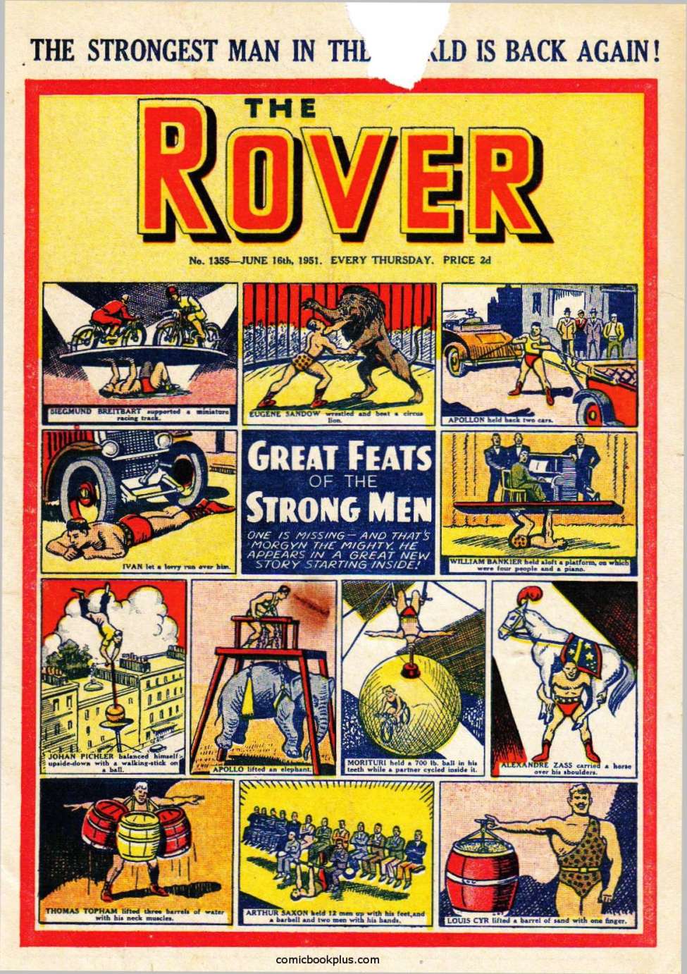 Book Cover For The Rover 1355