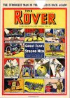 Cover For The Rover 1355