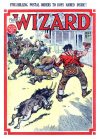 Cover For The Wizard 783