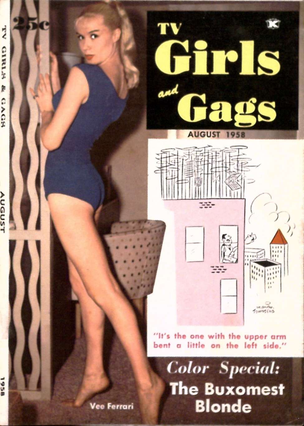 Book Cover For TV Girls and Gags v5 3