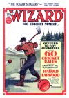 Cover For The Wizard 551