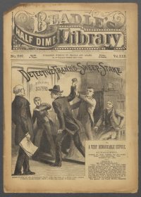 Large Thumbnail For Beadle's Half Dime Library 757 - Detective Frank's Sweep-Stake
