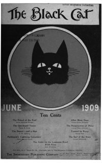 Large Thumbnail For The Black Cat v14 9 - The Friend of the Fool - Helen Ellsworth Wright