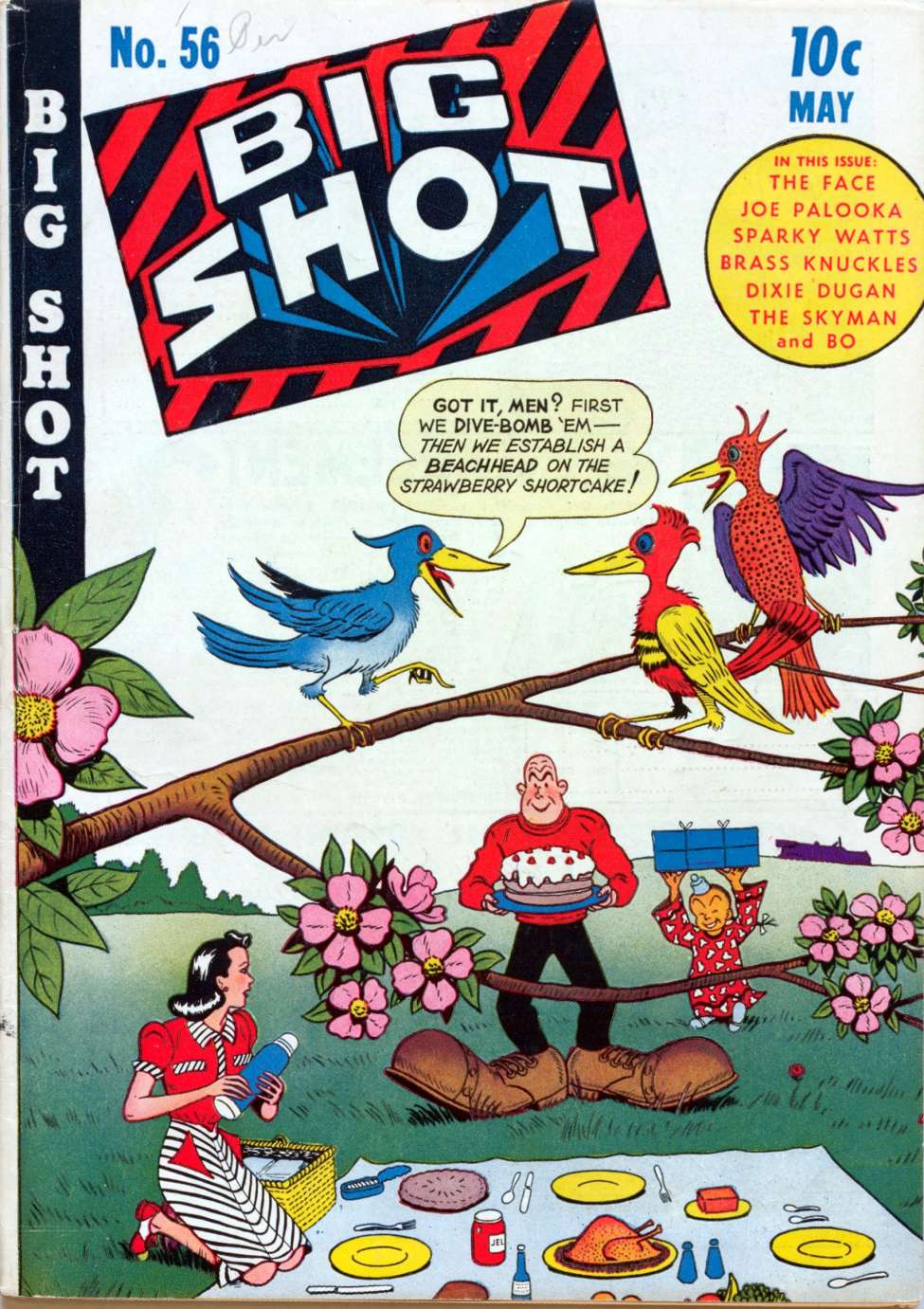 Book Cover For Big Shot 56