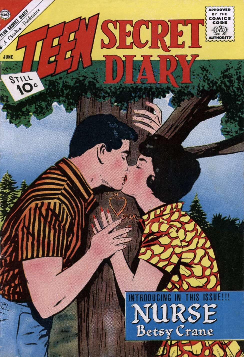 Comic Book Cover For Teen Secret Diary 11