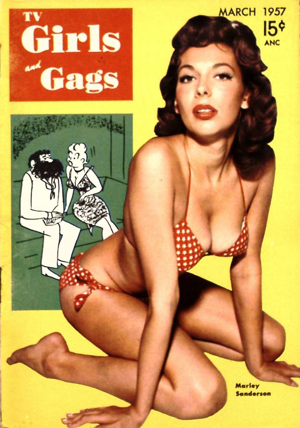 Book Cover For TV Girls and Gags v4 2