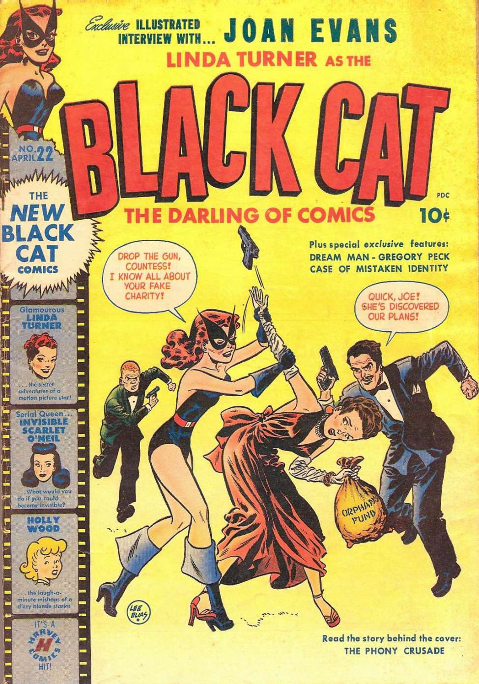 Comic Book Cover For Black Cat 22