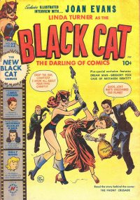 Large Thumbnail For Black Cat 22
