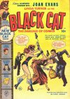 Cover For Black Cat 22
