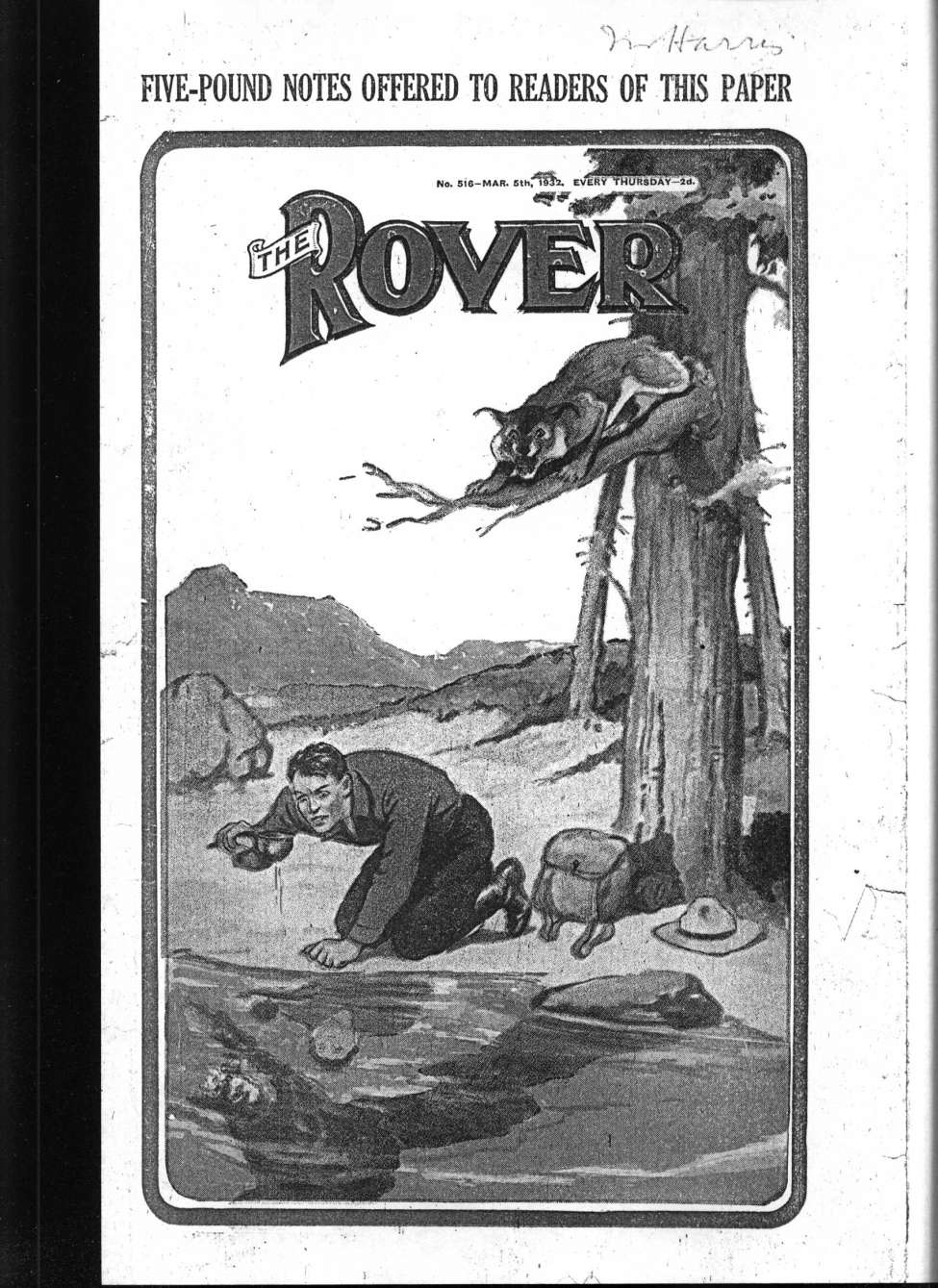 Book Cover For The Rover 516