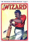 Cover For The Wizard 598