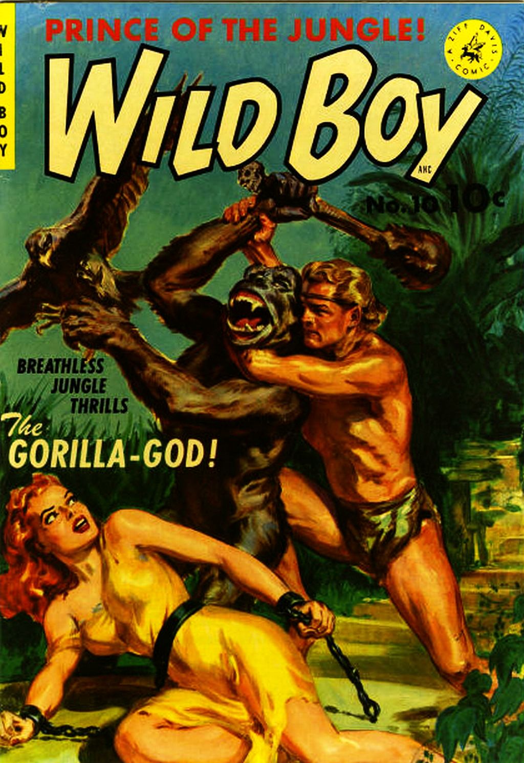 Comic Book Cover For Wild Boy 1 (10)