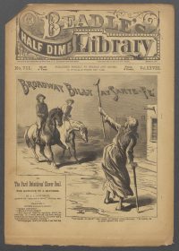 Large Thumbnail For Beadle's Half Dime Library 711 - Broadway Billy at Sante-Fé