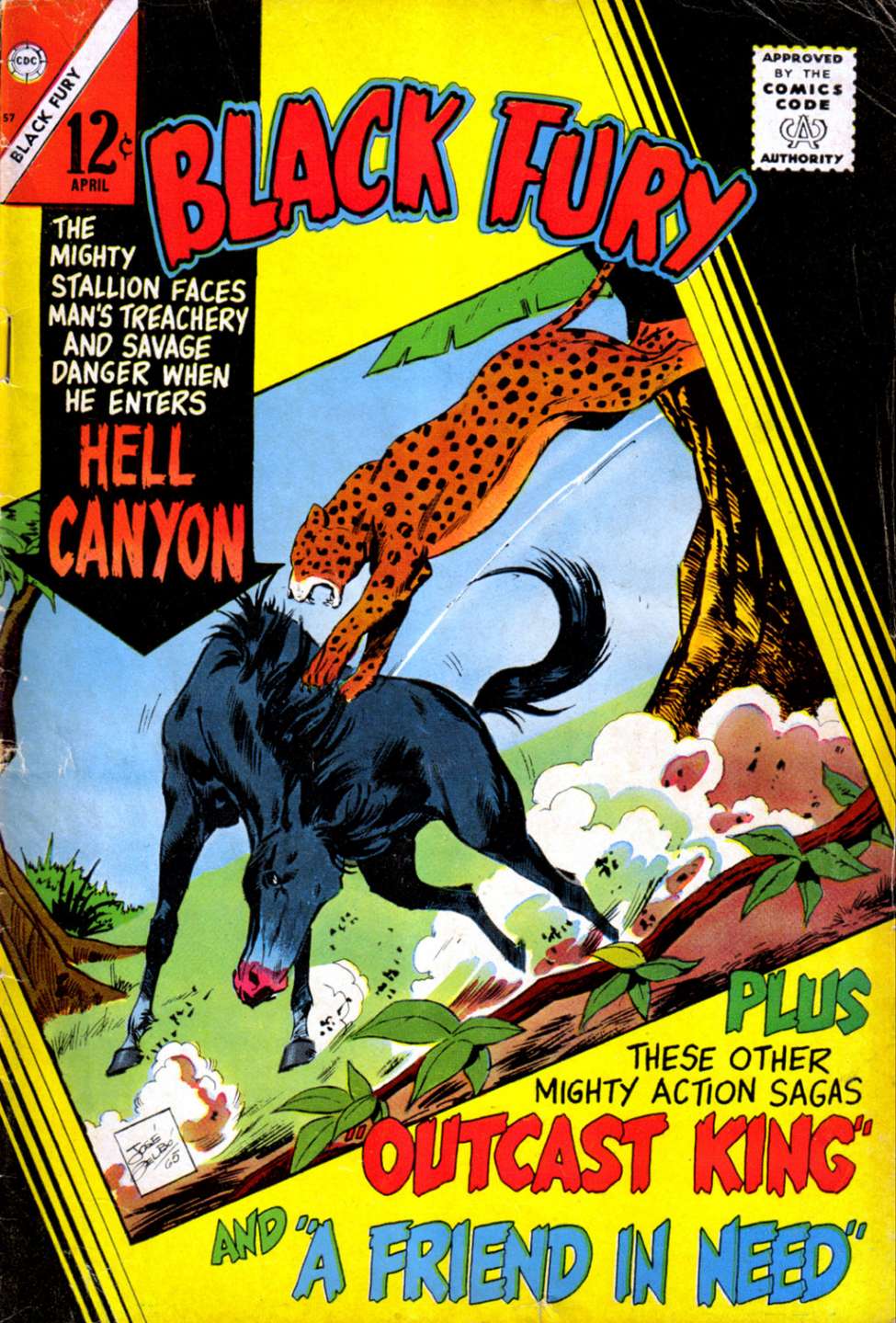 Comic Book Cover For Black Fury 57