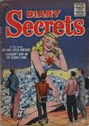 Cover For Diary Secrets 30