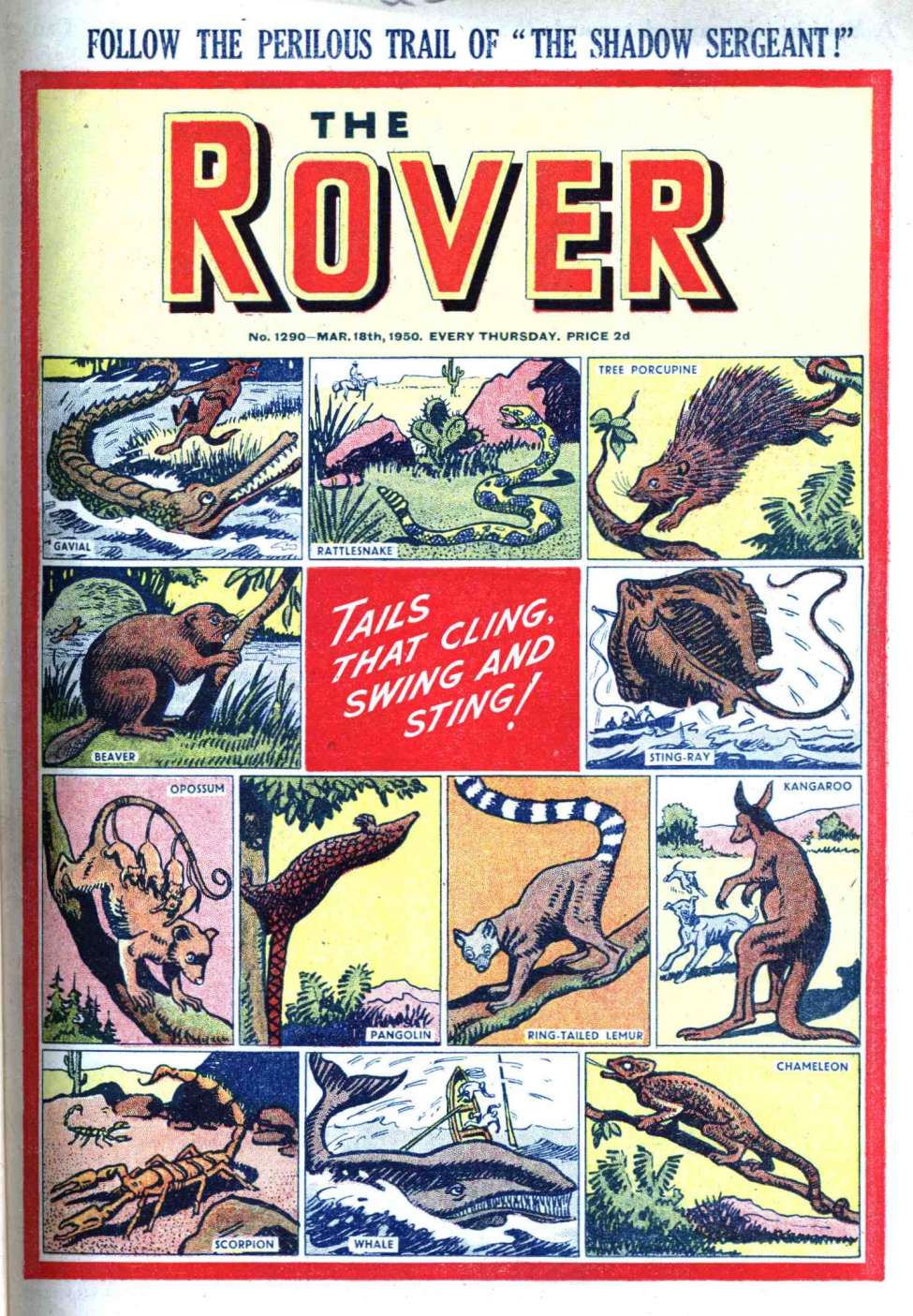 Book Cover For The Rover 1290