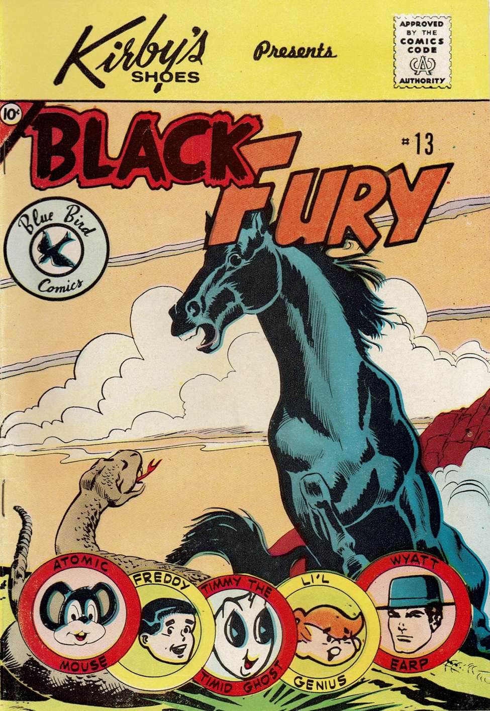 Book Cover For Black Fury 13 (Blue Bird)