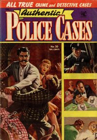 Large Thumbnail For Authentic Police Cases 30