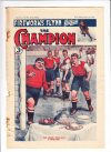 Cover For The Champion 1252