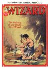 Cover For The Wizard 738