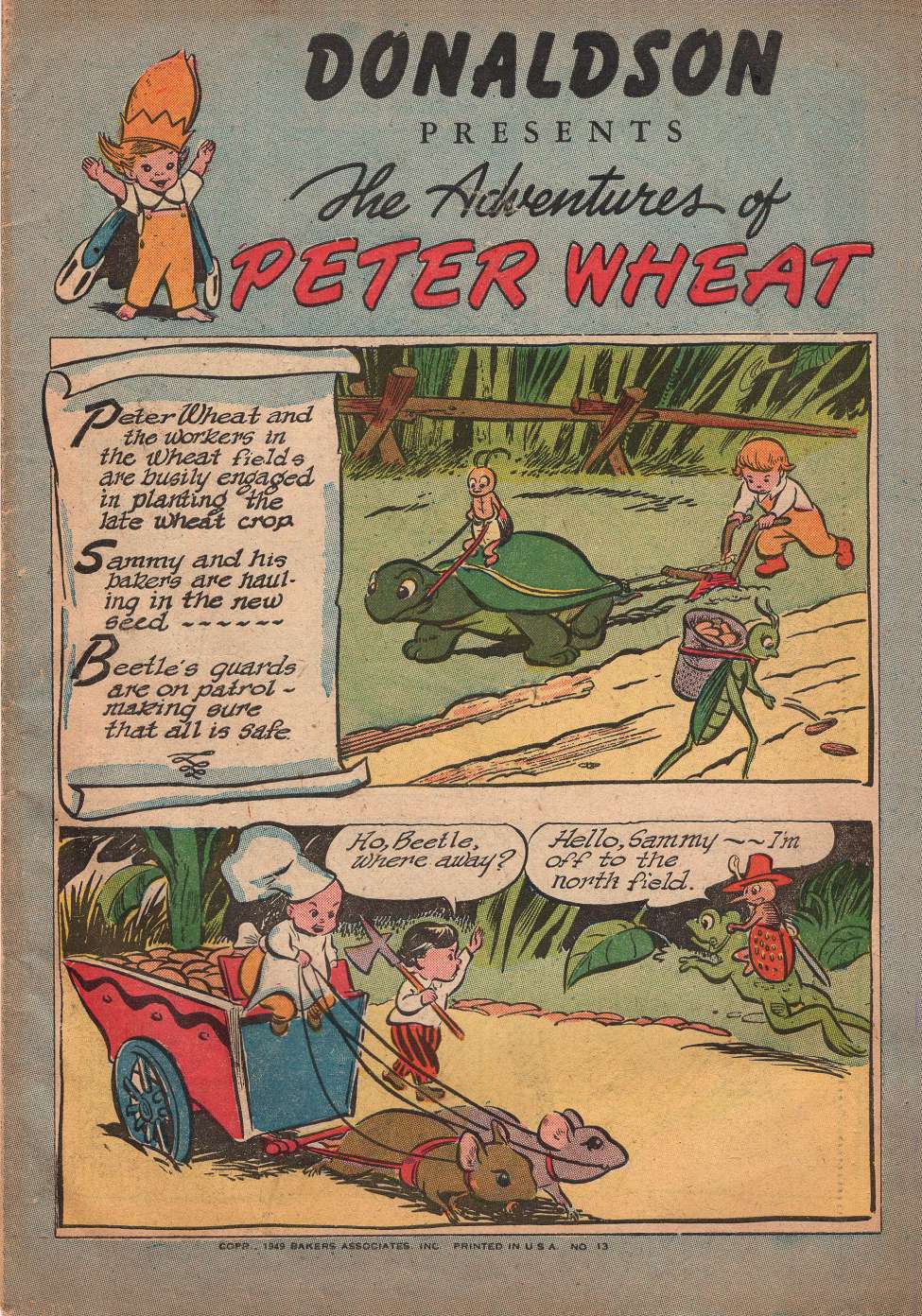 Book Cover For The Adventures of Peter Wheat 13