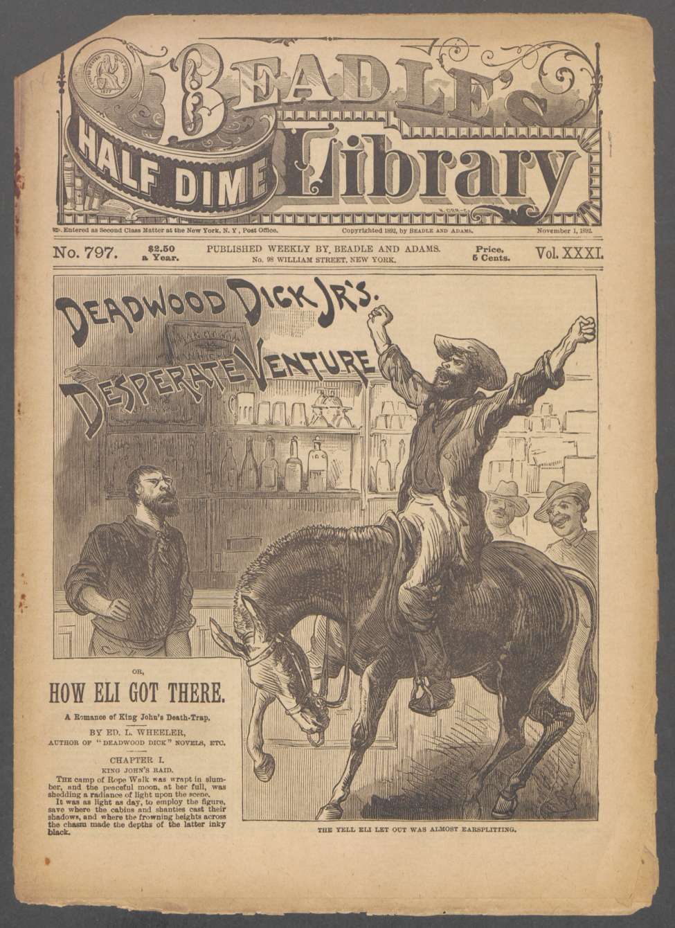 Book Cover For Beadle's Half Dime Library 797 - Deadwood Dick Jr.'s Desperate Venture