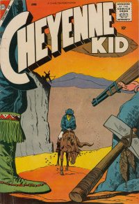 Large Thumbnail For Cheyenne Kid 12