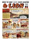 Cover For Lion 317