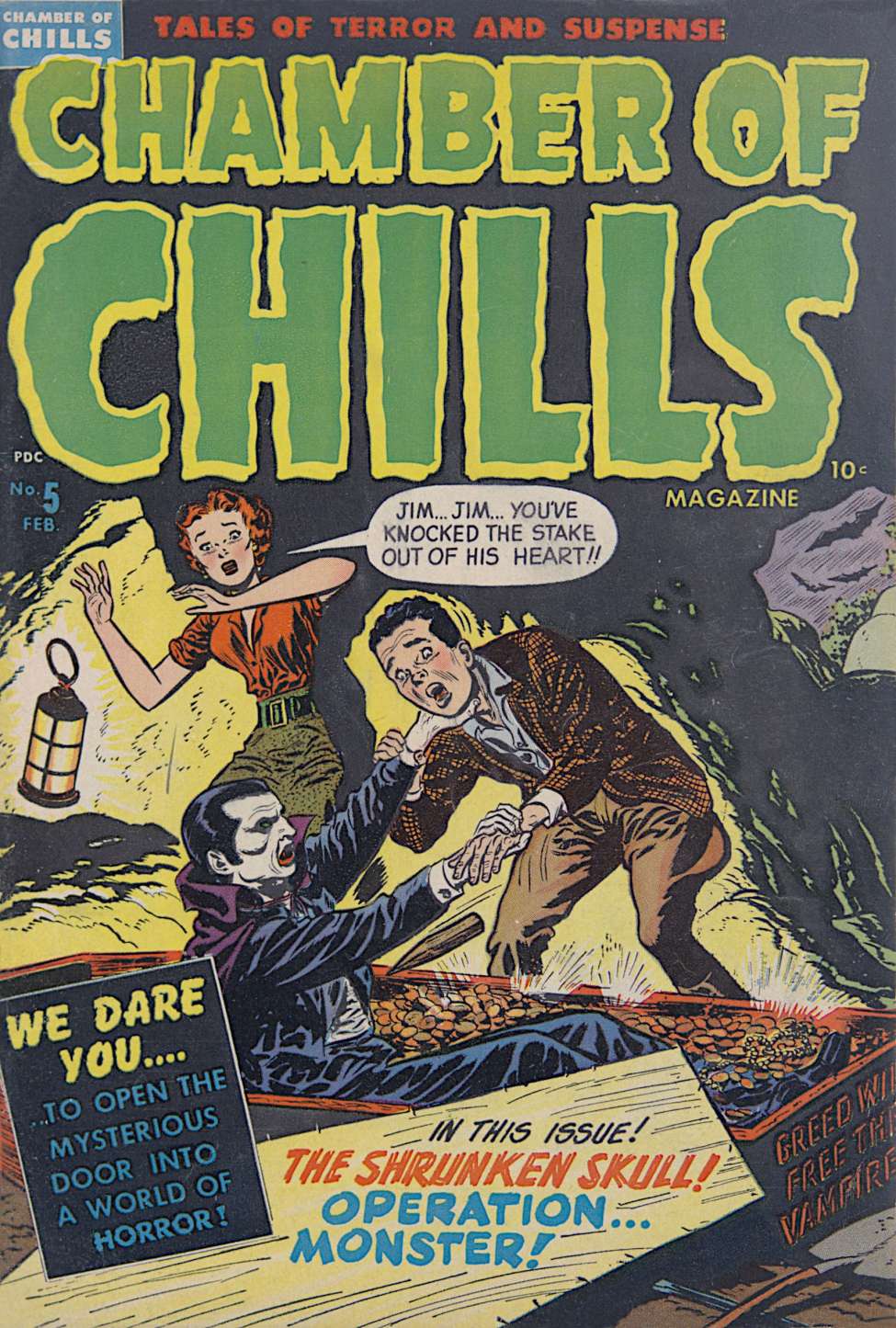 Book Cover For Chamber of Chills 5 - Version 2