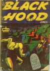 Cover For Black Hood Comics 11