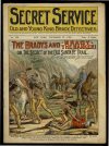 Cover For Secret Service 253 - The Bradys and Brady the Banker