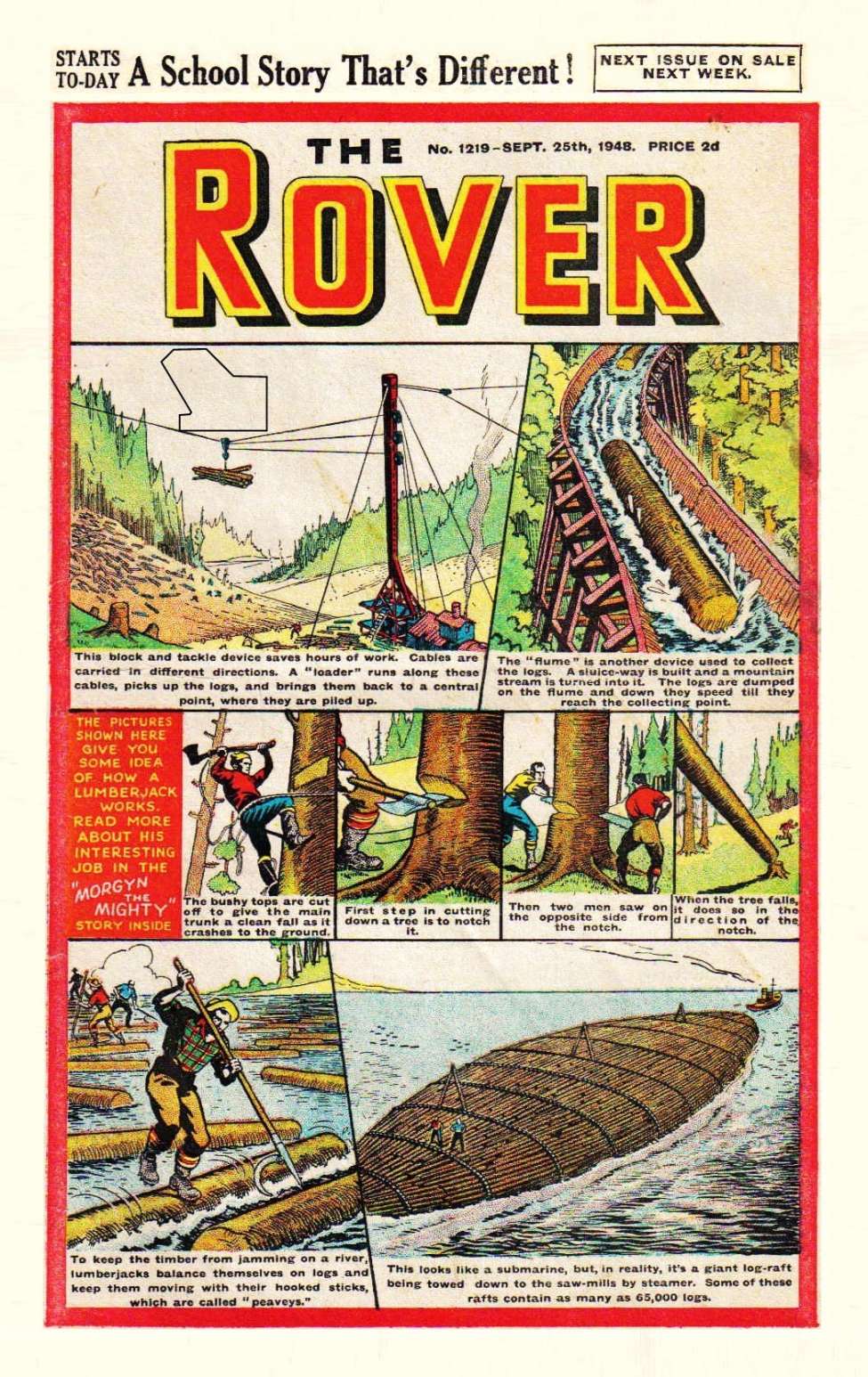 Book Cover For The Rover 1219