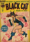 Cover For Black Cat 6 (alt)