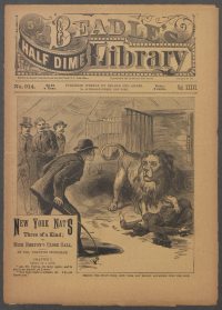 Large Thumbnail For Beadle's Half Dime Library 914 - New York Nat's Three of a Kind