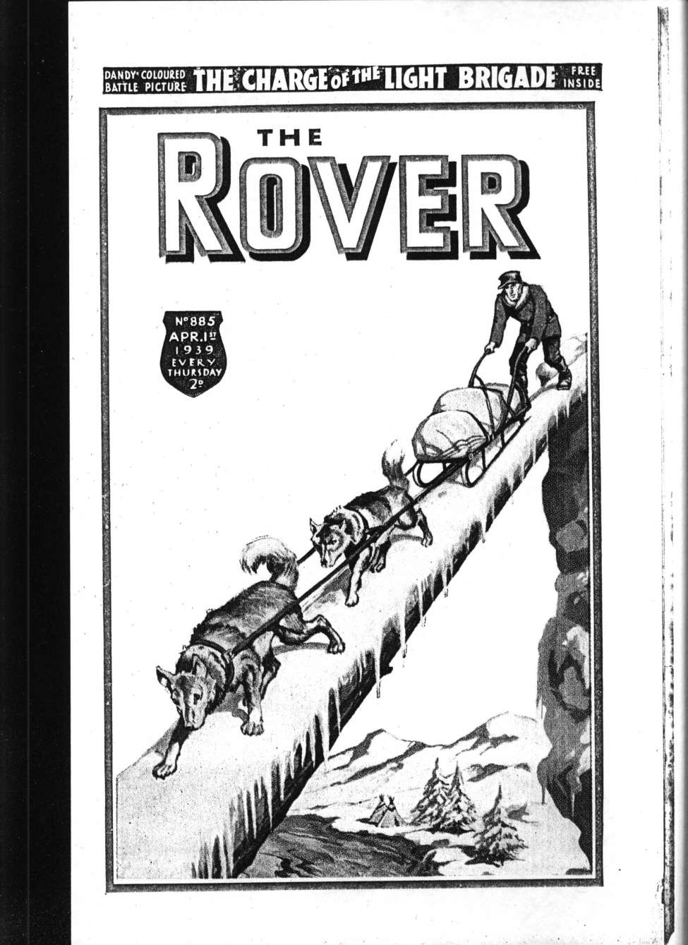 Book Cover For The Rover 885