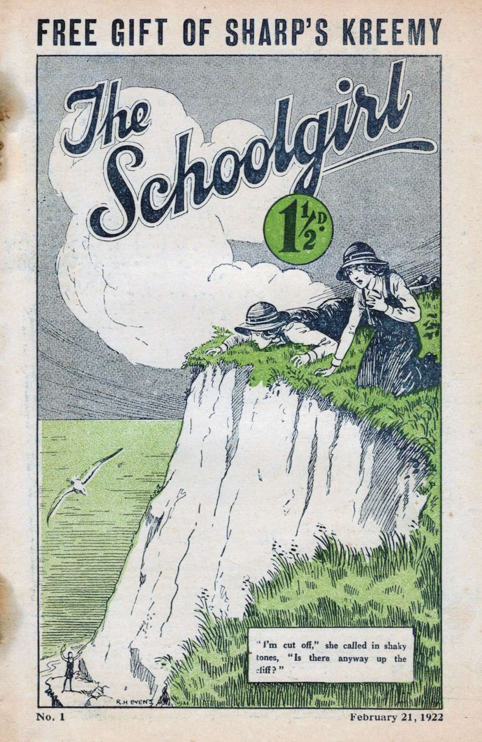 Book Cover For Shureys Schoolgirl 1