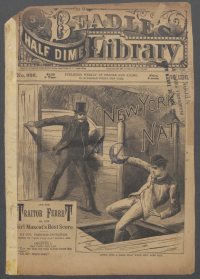 Large Thumbnail For Beadle's Half Dime Library 926 - New York Nat and the Traitor Ferret