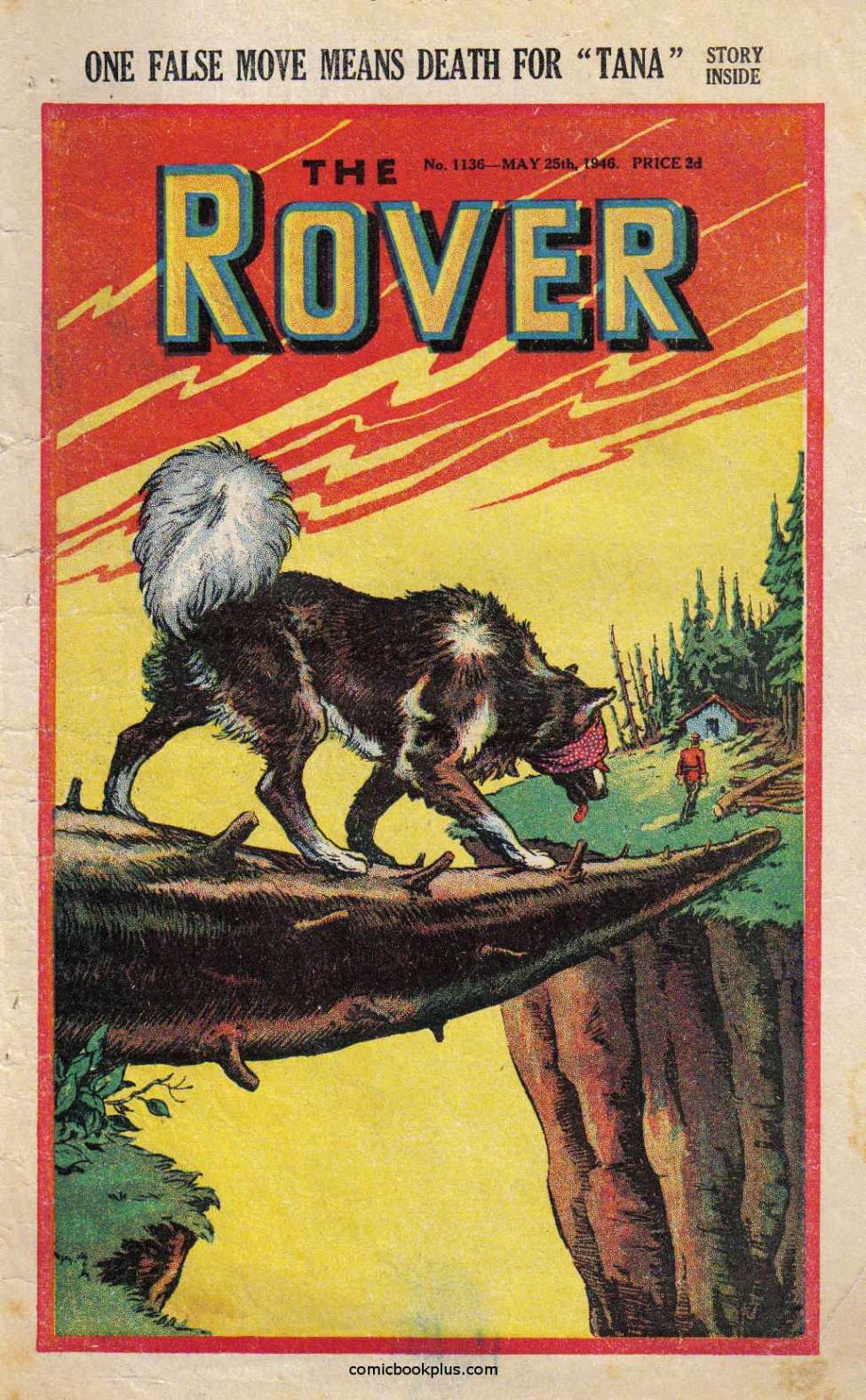 Book Cover For The Rover 1136